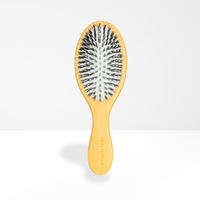 Brosse Anti-Pelliculaire & Démangeaisons [Th]