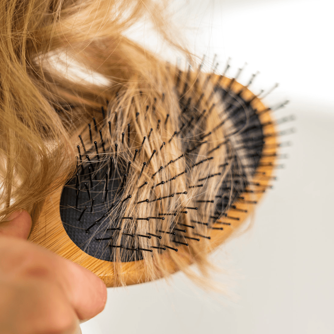 Pharma Brosse anti-casse [Th]