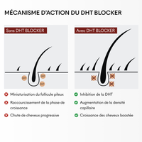 DHT Blocker Anti-Chute Hormonale 3 MOIS