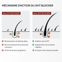 Offre 3+1 DHT Blocker Anti-Chute Hormonale 3 MOIS