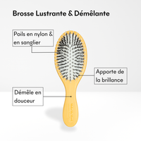 PROF Brosse Antipelliculaire