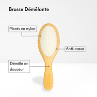 PROF Brosse Anti-Casse