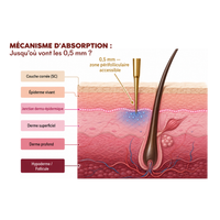 Anti-Haarausfall-Mikroinfusionspackung + gratis DHT