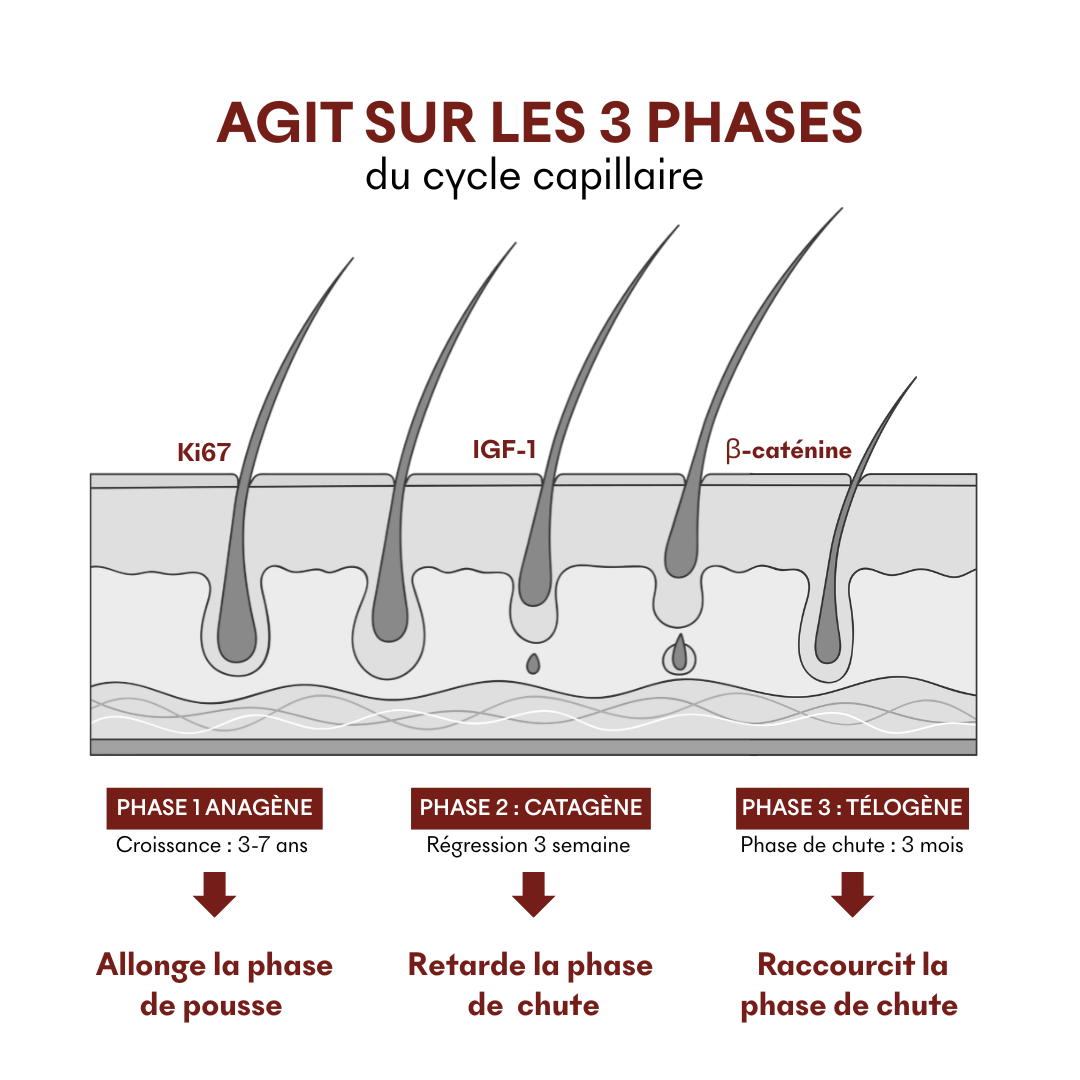 Offre 3+1 Sérum Anti-Chute Tricho-Boost